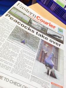Easter Courier is a free community paper distributed in East Auckland.